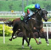 Danny Beasley drives Sir Oakley to the front in the concluding stages on Sunday.<br>Photo by Singapore Turf Club